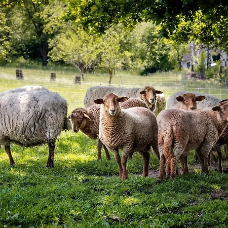 Sonnenscheinhaus 3 *